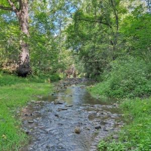 Photo #27 of 7654 Goose Creek Valley Road, Montvale, VA 19.7 acres