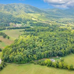 Photo #20 of 7654 Goose Creek Valley Road, Montvale, VA 19.7 acres