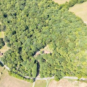 Photo #77 of 7654 Goose Creek Valley Road, Montvale, VA 19.7 acres