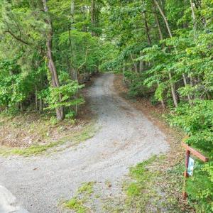 Photo #89 of 7654 Goose Creek Valley Road, Montvale, VA 19.7 acres
