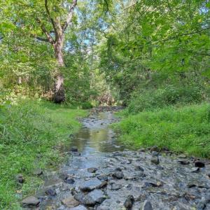 Photo #12 of 7654 Goose Creek Valley Road, Montvale, VA 19.7 acres