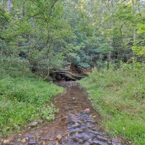 Photo #95 of 7654 Goose Creek Valley Road, Montvale, VA 19.7 acres