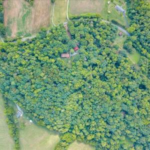 Photo #83 of 7654 Goose Creek Valley Road, Montvale, VA 19.7 acres