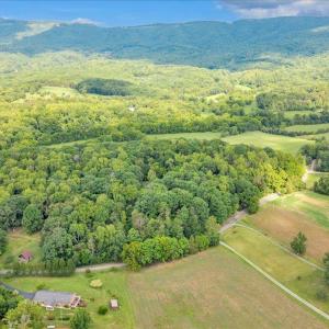 Photo #87 of 7654 Goose Creek Valley Road, Montvale, VA 19.7 acres