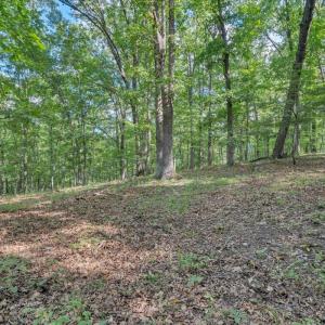 Photo #93 of 7654 Goose Creek Valley Road, Montvale, VA 19.7 acres