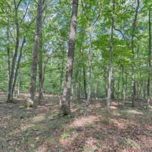 Photo #13 of 7654 Goose Creek Valley Road, Montvale, VA 19.7 acres