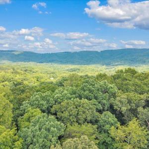 Photo #98 of 7654 Goose Creek Valley Road, Montvale, VA 19.7 acres