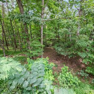 Photo #37 of 1097 Winn Drive, Moneta, VA 0.7 acres