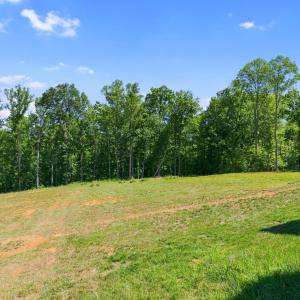 Photo #46 of 2050 Turkey Mountain Road, Amherst, VA 1.4 acres