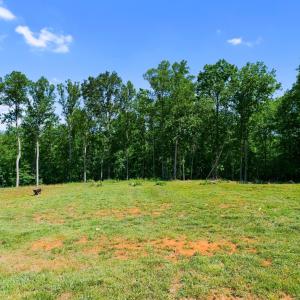 Photo #48 of 2050 Turkey Mountain Road, Amherst, VA 1.4 acres