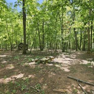 Photo #69 of 47 Harbor Drive, Lynchburg, VA 2.0 acres