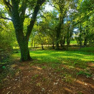 Photo #28 of 2119 Craig Street, Lynchburg, VA 0.2 acres