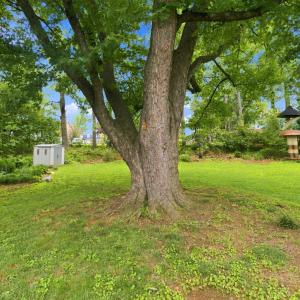 Photo #55 of 109 Kenbridge Place, Lynchburg, VA 0.4 acres