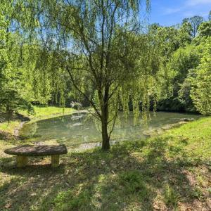 Photo #42 of 175 Tracie Drive, Altavista, VA 19.9 acres