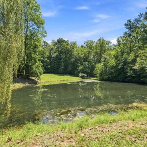 Photo #43 of 175 Tracie Drive, Altavista, VA 19.9 acres