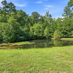 Photo #41 of 175 Tracie Drive, Altavista, VA 19.9 acres