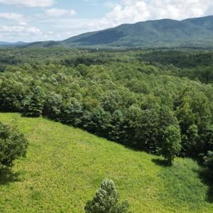 Photo #52 of 12501 Big Island Highway, Big Island, VA 26.4 acres