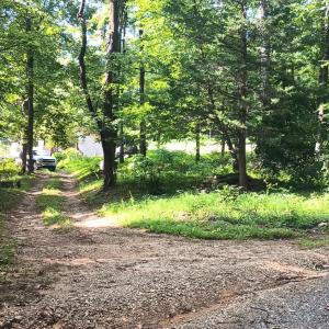 Photo #39 of 989 Battery Hill Lane, Tyro, VA 4.1 acres