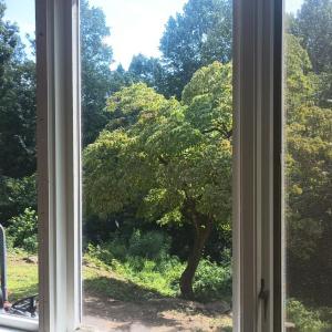 Photo #21 of 989 Battery Hill Lane, Tyro, VA 4.1 acres