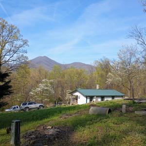 There are many dogwoods around the yard. In the winter you can see the Priest from the house.