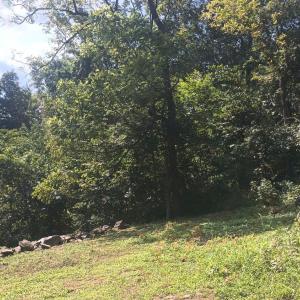 Photo #38 of 989 Battery Hill Lane, Tyro, VA 4.1 acres