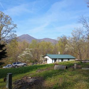 There are many dogwoods around the yard. In the winter you can see the Priest from the house.