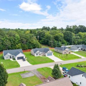 Photo #48 of 163 Mill Race Drive, Amherst, VA 0.2 acres