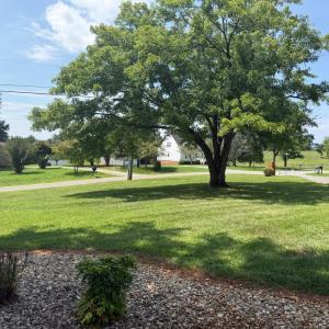 Photo #62 of 103 Melissa Drive, Goode, VA 1.4 acres
