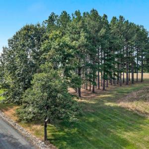 Photo #47 of 258 Wilow Oak Road, Appomattox, VA 9.6 acres