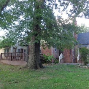 Photo #7 of 809 First Avenue, Farmville, VA 0.4 acres