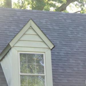 Photo #9 of 809 First Avenue, Farmville, VA 0.4 acres