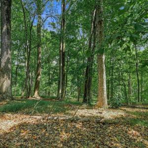 Photo #41 of 1082 Cedar Lane Court, Forest, VA 1.1 acres