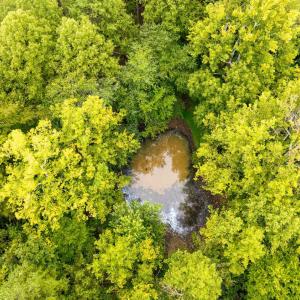 Photo #72 of 3958 Campbell Highway, Lynchburg, VA 8.0 acres
