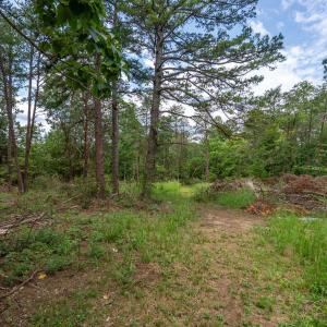 Photo #85 of 3958 Campbell Highway, Lynchburg, VA 8.0 acres