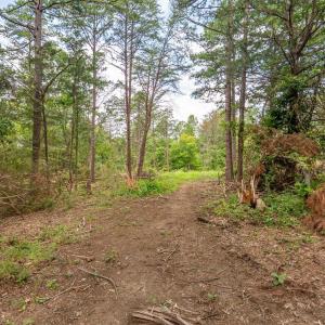 Photo #83 of 3958 Campbell Highway, Lynchburg, VA 8.0 acres