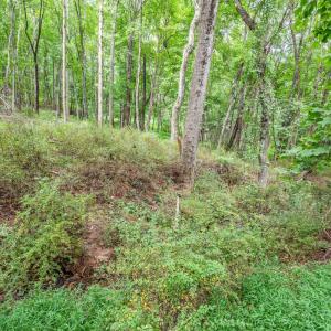 Photo #50 of 1231 Oakwood Street, Bedford, VA 1.8 acres