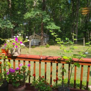 Photo #7 of 192 Holly Brook Road, Appomattox, VA 2.3 acres