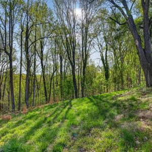 Photo #19 of 3010 Hillview Street, Lynchburg, VA 0.8 acres