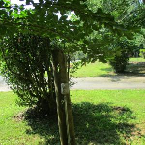 Photo #42 of 862 Izaak Walton, Amherst, VA 0.7 acres
