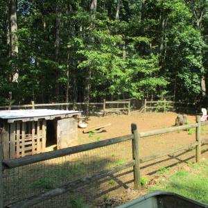 Photo #46 of 862 Izaak Walton, Amherst, VA 0.7 acres