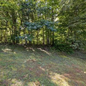 Photo #35 of 2188 River Road, Madison Heights, VA 6.3 acres