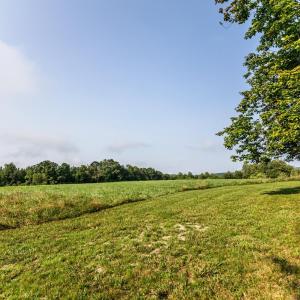 Photo #41 of 648 Stone Ridge Road, Concord, VA 82.9 acres