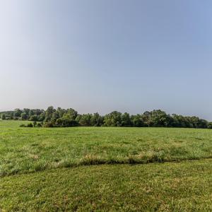 Photo #56 of 648 Stone Ridge Road, Concord, VA 82.9 acres