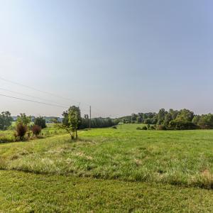 Photo #57 of 648 Stone Ridge Road, Concord, VA 82.9 acres