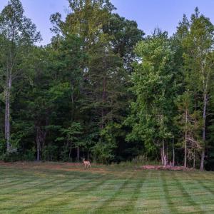 Photo #77 of 111 Waterton Drive, Lynchburg, VA 2.3 acres