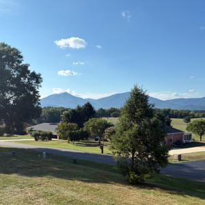 Photo #4 of 1729 Oakwood Street, Bedford, VA 0.7 acres