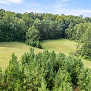 Photo #93 of 2004 Seven Meadows Lane, Appomattox, VA 17.9 acres