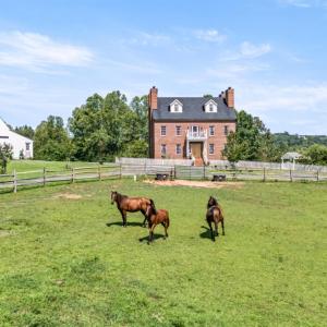 Photo #8 of 2004 Seven Meadows Lane, Appomattox, VA 17.9 acres