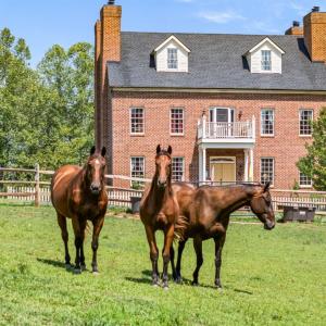 Photo #1 of 2004 Seven Meadows Lane, Appomattox, VA 17.9 acres