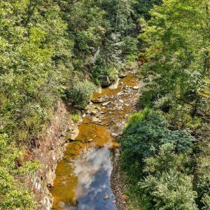 Photo #29 of 2781 Joppa Mill, Bedford, VA 12.7 acres